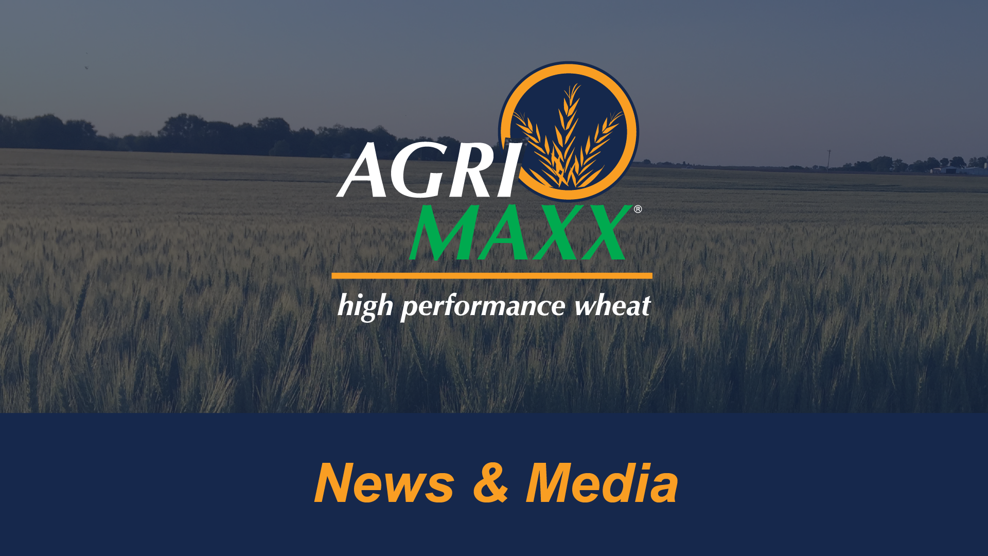 Corn harvest begins in Illinois as crop conditions fall - Brownfield Ag News